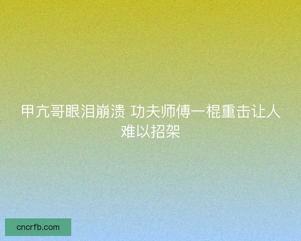 甲亢哥眼泪崩溃 功夫师傅一棍重击让人难以招架
