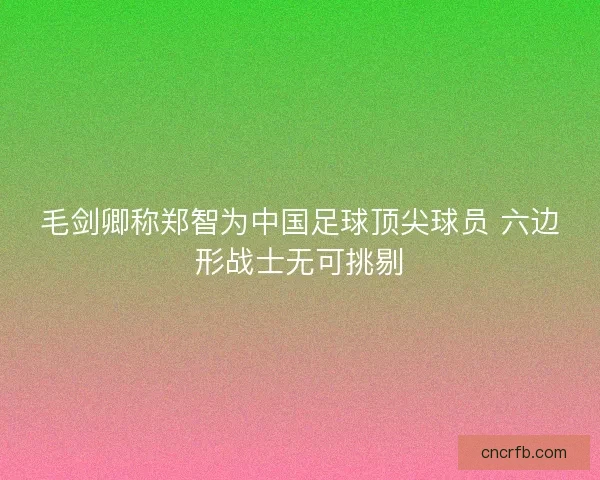 毛剑卿称郑智为中国足球顶尖球员 六边形战士无可挑剔