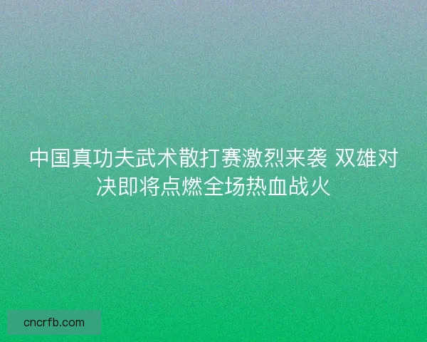 中国真功夫武术散打赛激烈来袭 双雄对决即将点燃全场热血战火
