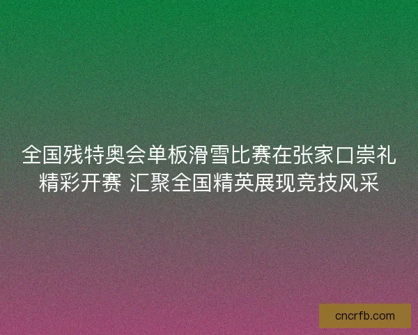 全国残特奥会单板滑雪比赛在张家口崇礼精彩开赛 汇聚全国精英展现竞技风采